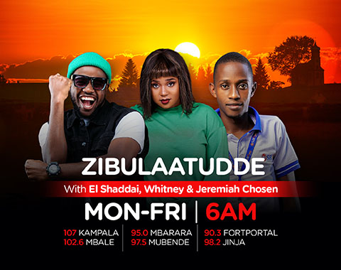 Zibulaatudde