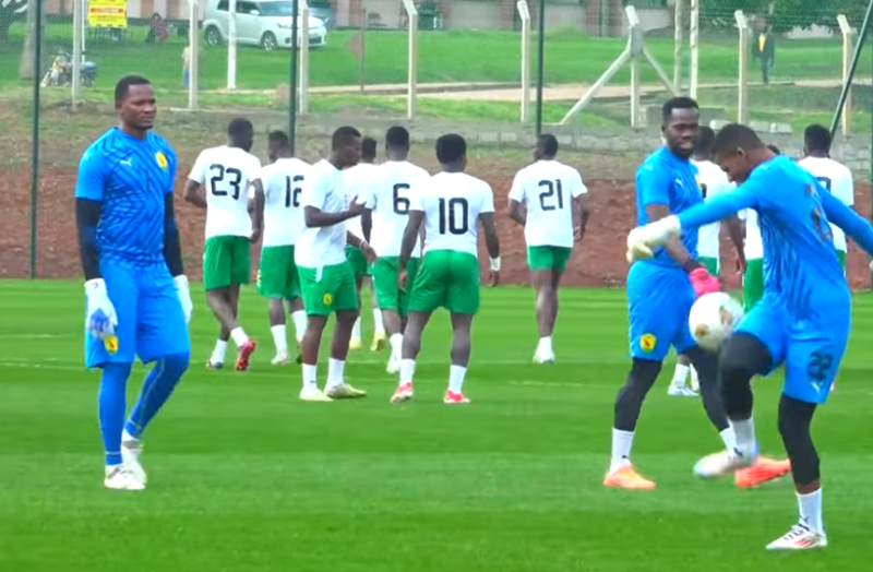 CHAN: Niger vs South Africa – Pride and Progress at Stake