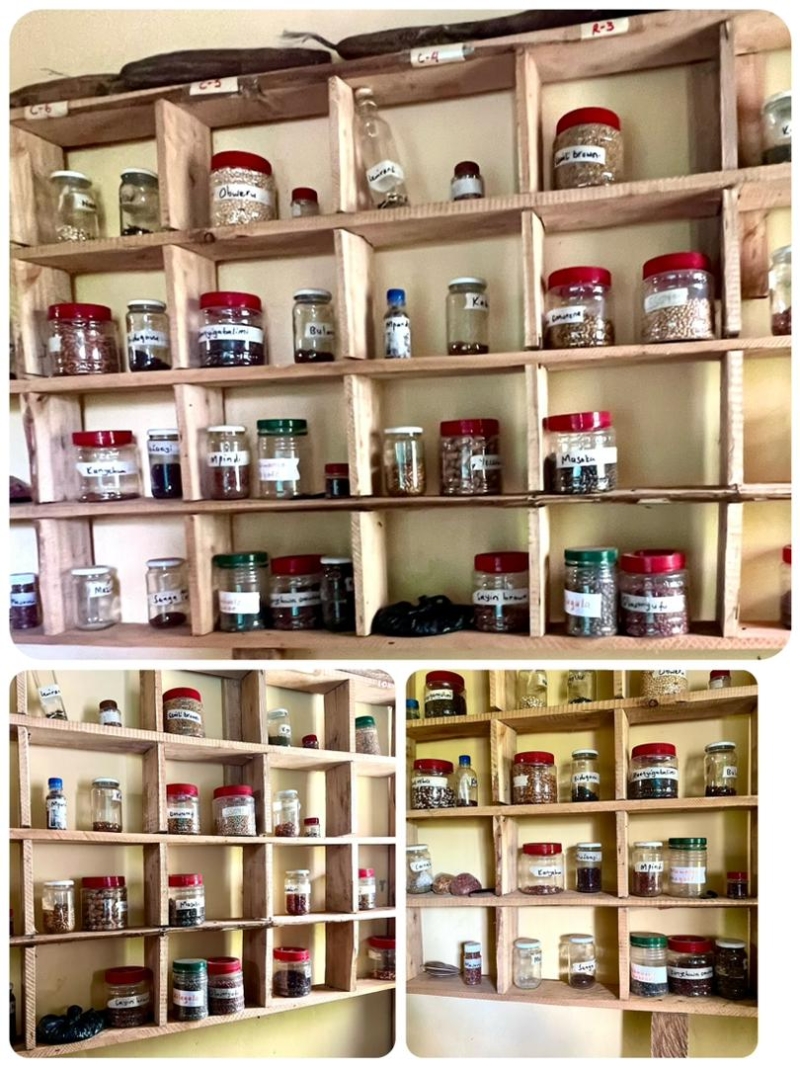 Agroecological Actors Embark on Community Seed Banking to Preserve Indigenous Seeds